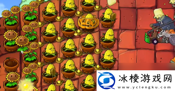 植物大战僵尸抽卡版冒险模式5
