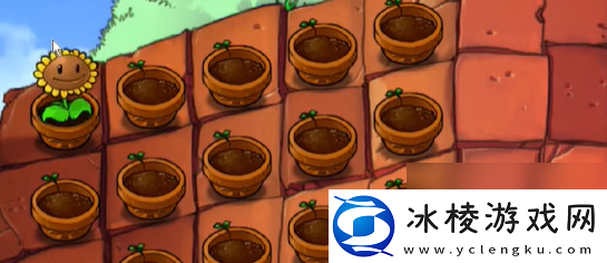 植物大战僵尸抽卡版冒险模式5