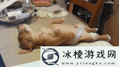 刚入睡感觉巨大的东西在动-友：这到底是梦还是现实