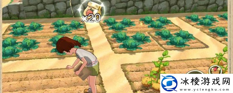 小森生活的弹弓在哪得到