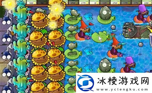 植物大战僵尸杂交版贴图异常如何解决