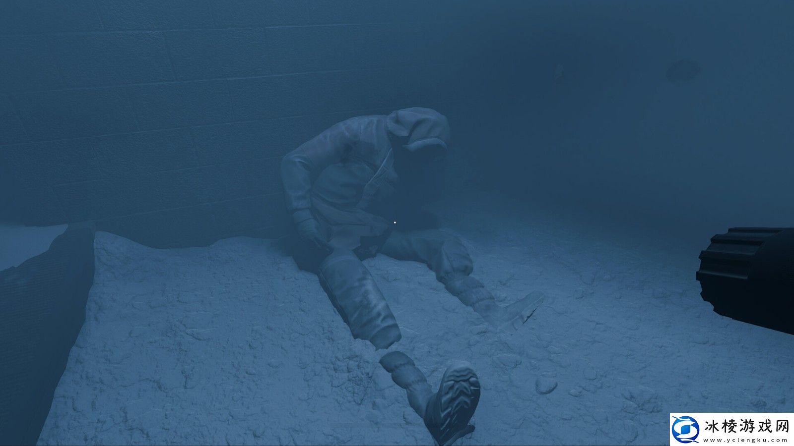 合作生存恐怖游戏CRYOSteam页面发行日期待定无限数码