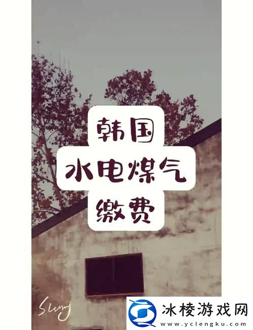 好看的韩国三色电费政策-节能智慧共享生活新选择