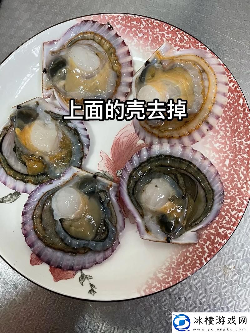 小东西你的扇贝都开张了-用户评论：