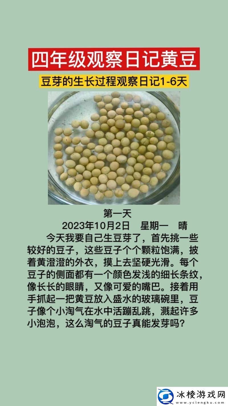 小翠日记16感悟成长与探索的旅程