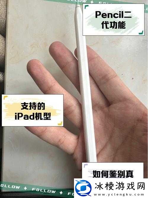 国富产二代-pencil：一个独特且引人关注的存在