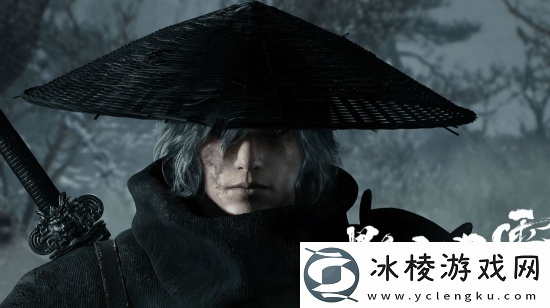 国产3A同质化严重-网友吐槽怎么都在做