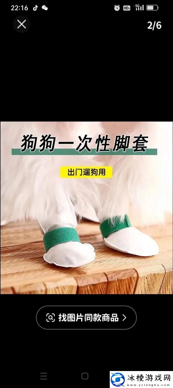 探索“狗狗胶配合”的奇妙世界