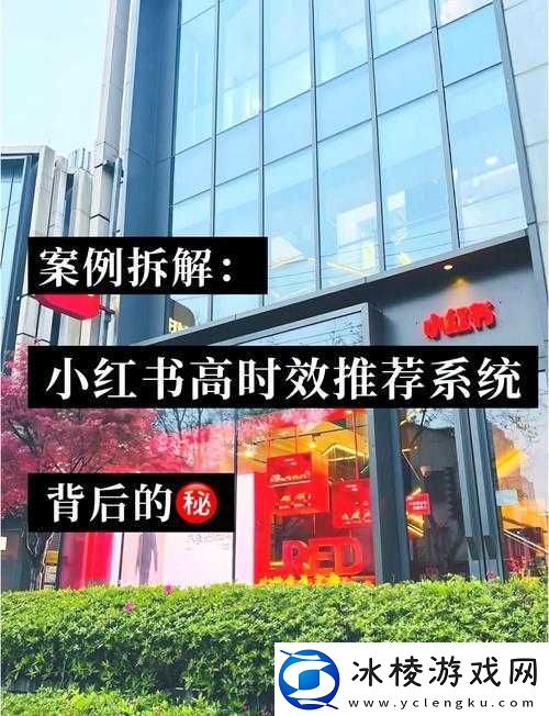 寸止挑战站在哪里：探寻此类站背后的秘密与风险