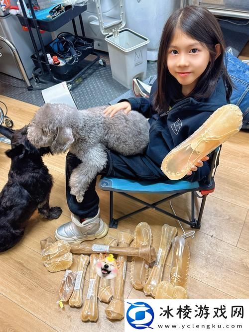 全面解析狗和人胶配方20分钟