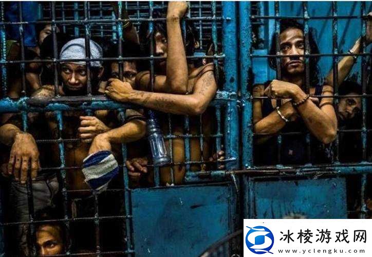 缅北禁地怎么下载免费：揭秘缅北禁地神秘面纱