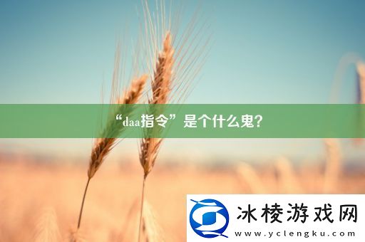 “daa指令”是个什么鬼