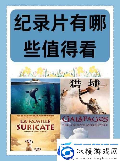 成片一卡二卡三卡观看：探寻其背后的意义与价值