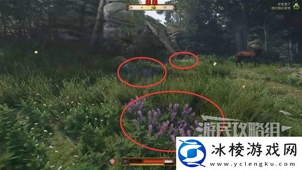 天国拯救2图文攻略大全