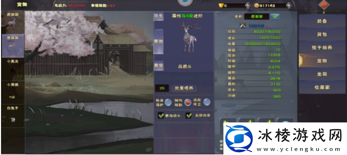 遇见龙手游怎么强化装备