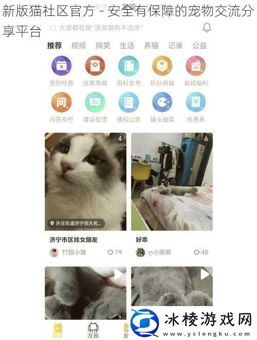 新版猫社区官方-安全有保障的宠物交流分享平台