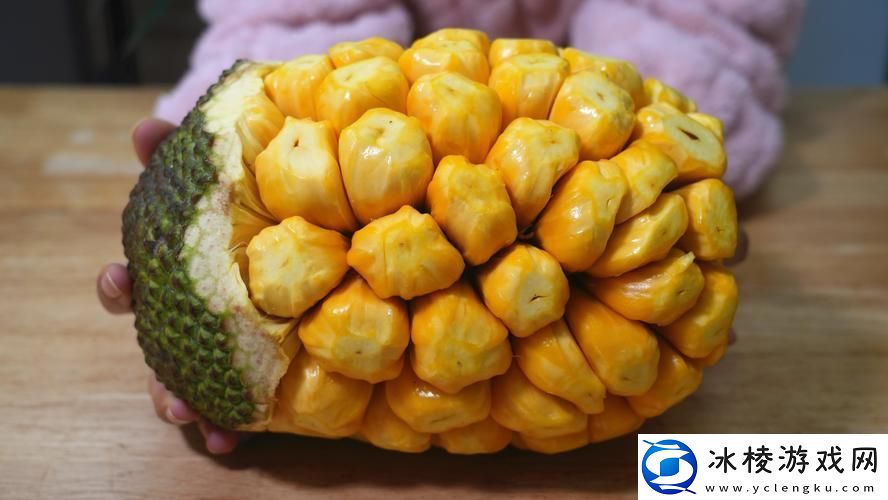 畅享视觉盛宴——菠萝蜜在线观看免费观看