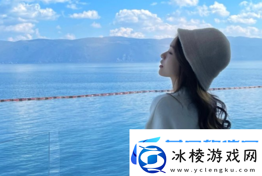 overflow第一季翻译动漫：故事的深度与情感的交织