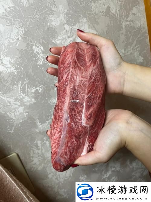 探索“大肉大捧一进一出视频”的精彩世界