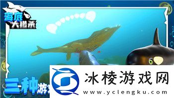 怒之铁拳3星星有什么用-解析星星在游戏中的重要作用及使用技巧