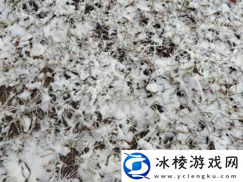 花灵喷雪草深度解析-培养价值、玩法技巧与技能属性全面详解