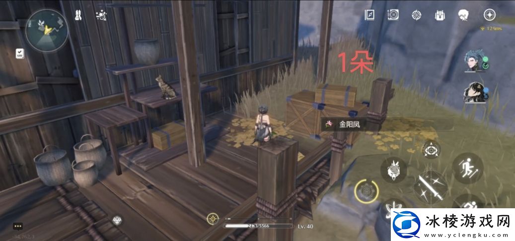 鸣潮金阳凤采集路线分享