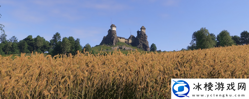 天国-拯救2小米草购买在哪里介绍