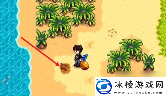 星露谷物语姜岛西部金核桃全收集攻略