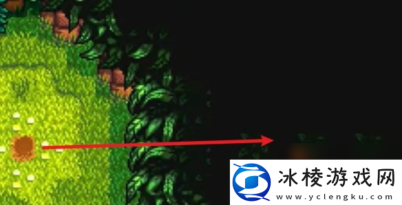 星露谷物语姜岛西部金核桃全收集攻略