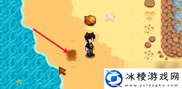 星露谷物语姜岛西部金核桃全收集攻略