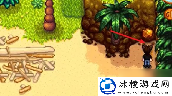 星露谷物语姜岛西部金核桃全收集攻略