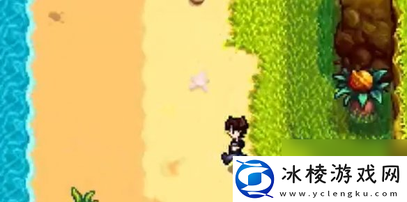 星露谷物语姜岛西部金核桃全收集攻略