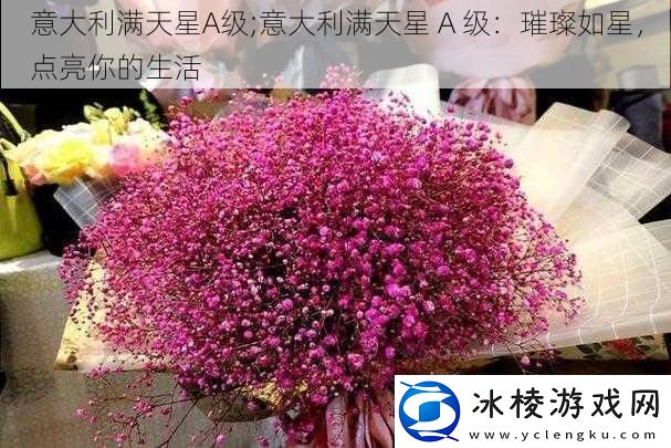 意大利满天星A级;意大利满天星-A-级：璀璨如星-点亮你的生活