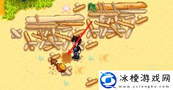 星露谷物语姜岛西部金核桃全收集攻略