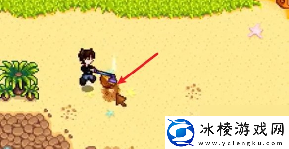 星露谷物语姜岛西部金核桃全收集攻略