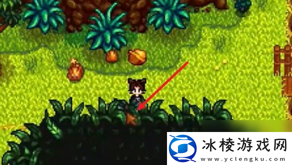 星露谷物语姜岛西部金核桃全收集攻略