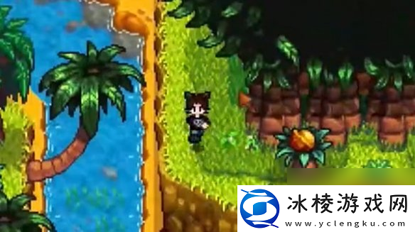 星露谷物语姜岛西部金核桃全收集攻略