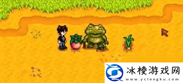 星露谷物语姜岛西部金核桃全收集攻略