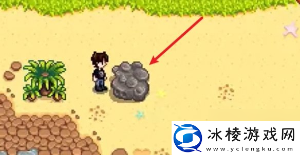 星露谷物语姜岛西部金核桃全收集攻略