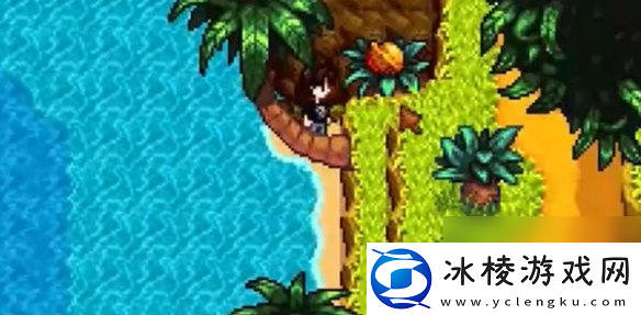 星露谷物语姜岛西部金核桃全收集攻略