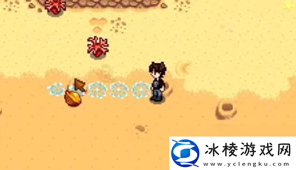 星露谷物语姜岛西部金核桃全收集攻略