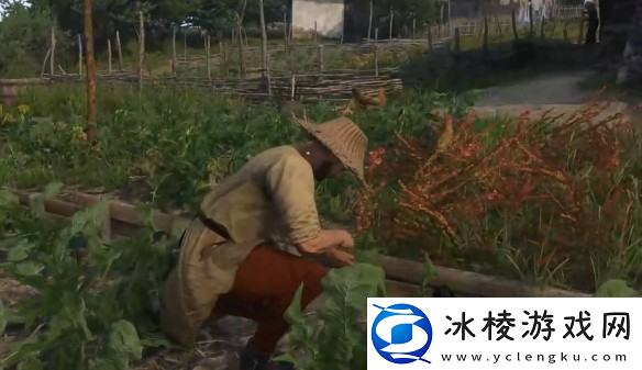 天国拯救2入侵者支线任务流程-天国拯救2入侵者任务怎么做