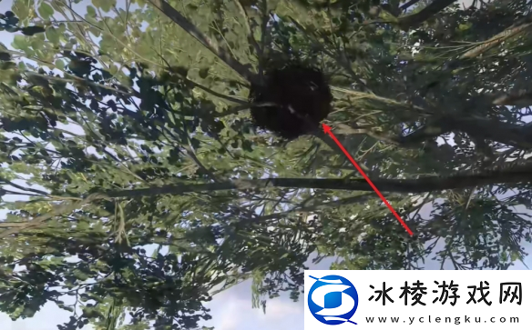 天国拯救2支线任务公平至上图文攻略