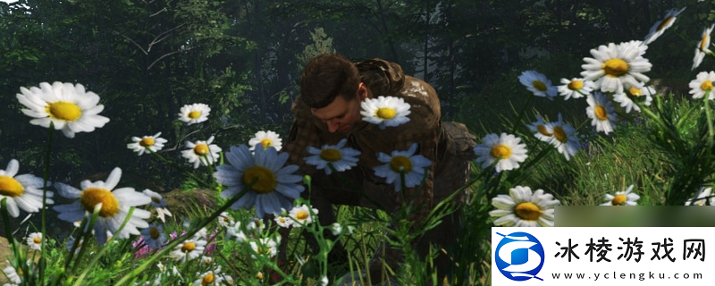 天国-拯救2用夜鹰药剂注意事项推荐