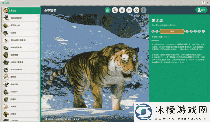 动物园之星如何制定动物选择策略深度剖析其背后的收益悬念
