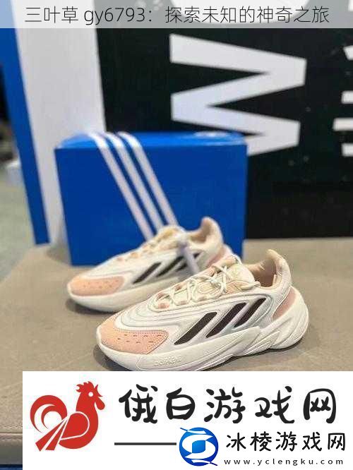 三叶草-gy6793：探索未知的神奇之旅