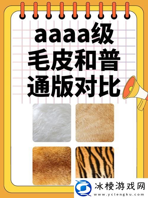 深入探讨AAAA级毛皮与AAAA的区别有哪些
