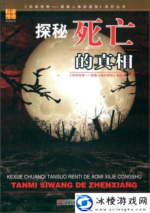 血腥外网免费版真的存在吗它到底有何特别之处探秘其真相