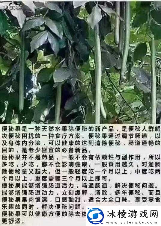 便秘果的正确使用方法：如何通过天然疗法有效缓解便秘问题