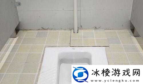 老头蹲厕系列三究竟有何独特之处引发全热议的背后原因何在